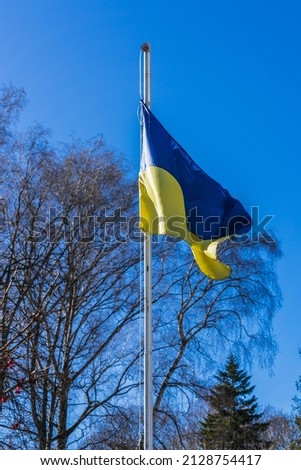 The flag of Ukraine on a metal flagpole flutters in the wind against the background of trees and a blue sky. Side view vertical orientation