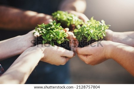 Potential for growth is possible when its done together. Cropped shot of a group of people holding plants growing out of soil. Royalty-Free Stock Photo #2128757804