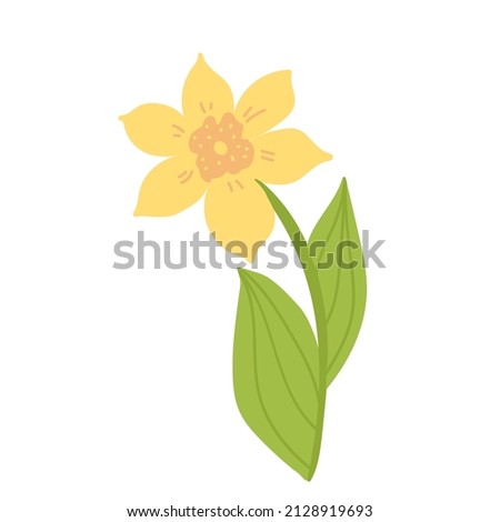 Spring botanical illustration, icon doodle yellow daffodils with green leaves. flower narcissist flat, jonquil