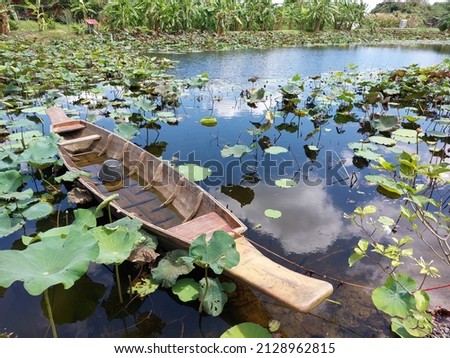 An old rowboat floats to the left on a pond with many lotus leaves.