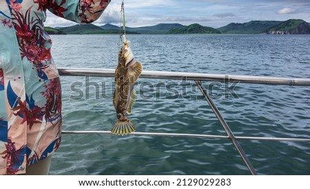 A woman stands next to the metal railing of the yacht, holding a newly caught sea bass on a fishing line. Spiny fins and spotted scales are visible. Background- ocean,  sky, mountain range. Kamchatka Royalty-Free Stock Photo #2129029283