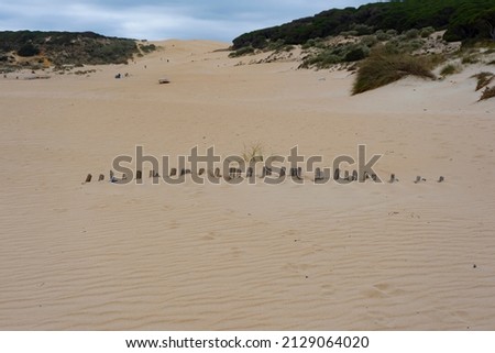 DUNES ON A BEACH OF TARIFA