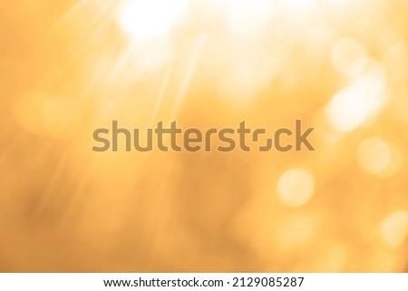 sunlight through leaves on tree, image blur bokeh background.  yellow background blur beautiful is the bokeh effect nature color. autumn time. fall  season