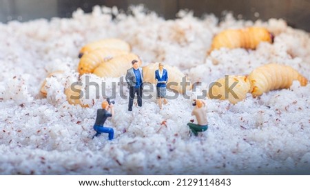 Miniature people : photographer taking sago worm larvae insect