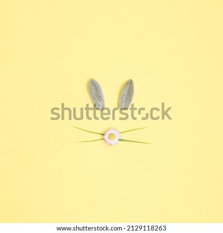 Bunny rabbit face made of natural green leaves on bright background. Easter minimal concept. Flat lay.