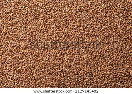 Raw organic buckwheat groats background. Texture of wholegrain dry buckwheat seeds. Roasted buckwheat grains for gluten free diet, vegetarian food and dietary fiber concepts. Full frame. Top view.