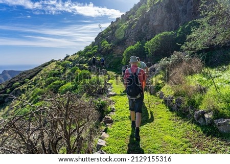 Hiking vacation on LA GOMERA, Canary Islands: Hiking group on a hike near the Roque Agando - fertile plateau with palm trees and cacti Royalty-Free Stock Photo #2129155316