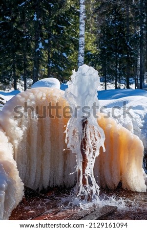 An abandoned mineral water spring in the Kemerovo region in Russia. A mass of frozen ice at a natural fountain. Winter landscape with coniferous trees. Vertical photo.