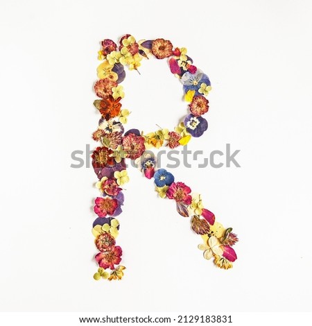 Letter R from multicolored dry flowers on a white background

