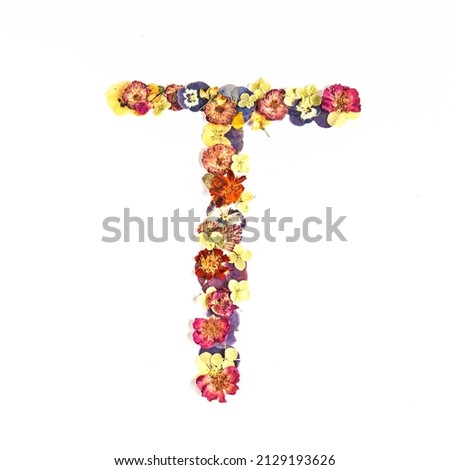 Letter T from multicolored dry flowers on a white background