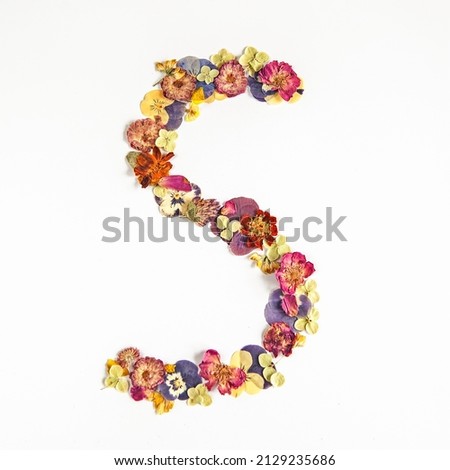Letter S from multi-colored dry flowers on a white background
