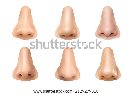 Human noses isolated on white background close up.  Royalty-Free Stock Photo #2129279510