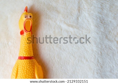white fur background texture  yellow rubber chicken