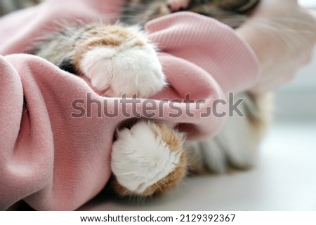 The cat's paws hug the child's hand. Friendship