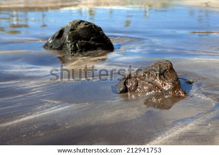Sea stones on wet sand