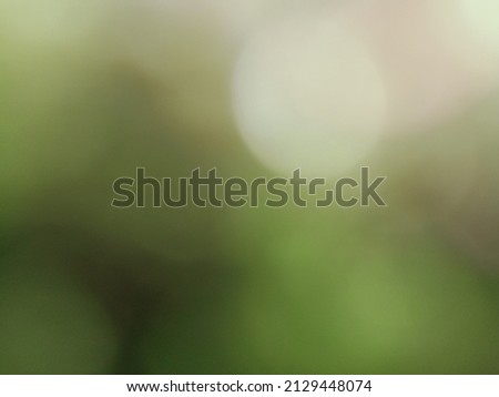 Abstract green blur on white. gradient abstract background Free space for product display