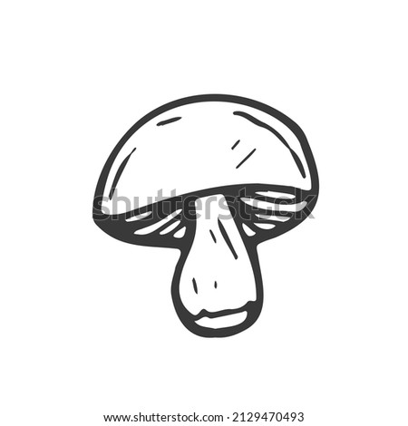 Doodle forest mushroom. Hand drawn sketch line art, vector illustration isolated on white background, gray line art, nature sketch