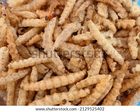 close up Bamboo Caterpillar ( Omphisa fuscidentalis ) fried for a snack, Thai street food Royalty-Free Stock Photo #2129525402