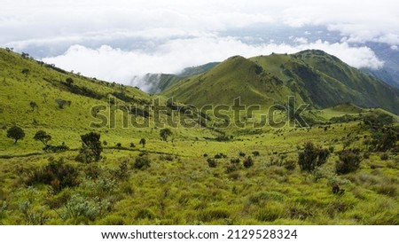 Beautiful scenery of stunning savanna at Mount Merbabu National Park a dormant stratovolcano , Central Java, Indonesia. Natural Background image with high altitude concept. Top of mountain panorama Royalty-Free Stock Photo #2129528324