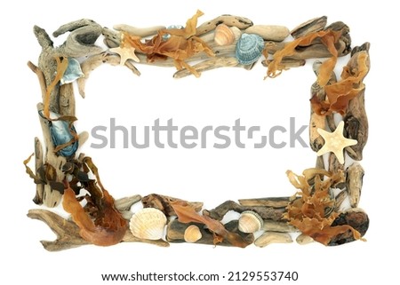 Driftwood seaweed and sea shell abstract background border composition. Beach art, rectangular shape on white background flat lay, top view, copy space.
