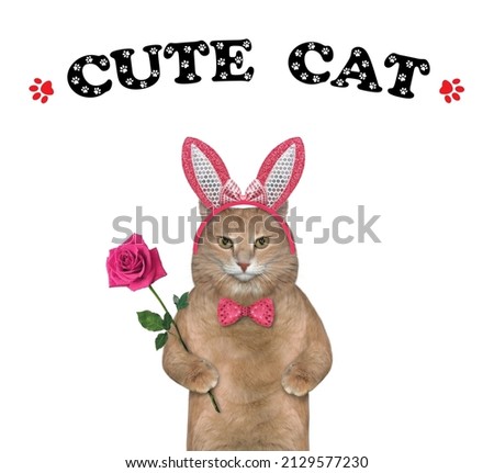 A reddish cat in a red bow tie and a headband holds a red rose. Cute cat. White background. Isolated.