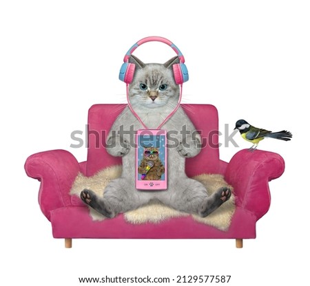 An ashen cat with a smartphone listens to music on a pink couch. White background. Isolated.