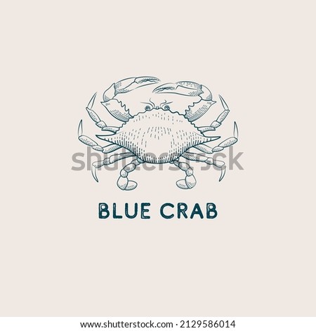 Vintage vector illustration with a blue crab and a title isolated on a light background. Royalty-Free Stock Photo #2129586014