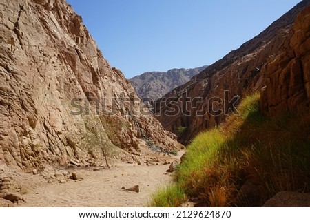 Mountain streams and vegetation in Malakot Mountain oasis tourist site. Dahab, South Sinai Governorate, Egypt 