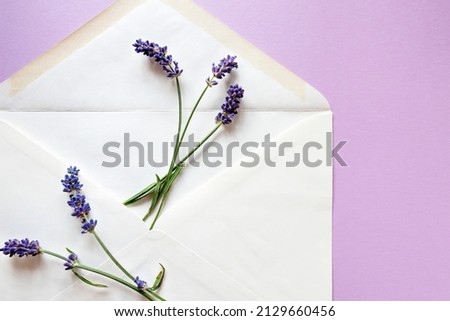 Five lavender flowers and a letter envelope on a light lilac background. Flat layout.