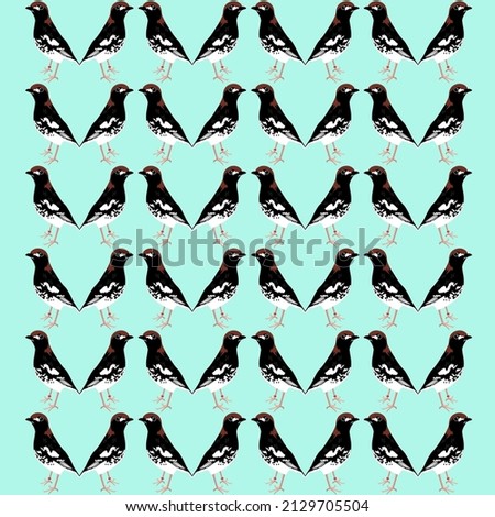 cute bird pattern illustration image