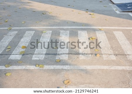 close-up zebra crossing on the road crossing