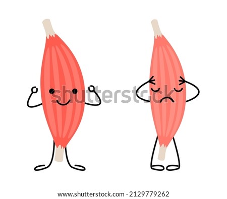 Healthy happy muscle and weak sad pain muscle character. Strong and frail tension fiber part body human. Skeletal muscle, inside tissue. Vector illustration Royalty-Free Stock Photo #2129779262