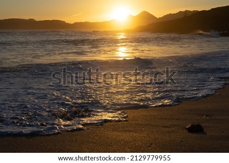 Melide beach surrounded by a pine forest in Home Cape natural zone at sunset in Rias Baixas. Pontevedra, Galicia, Spain.
