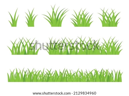 Spring green grass isolated on white background. Grass borders set.