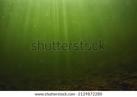 underwater fresh water green background with sun rays under, water Royalty-Free Stock Photo #2129872280