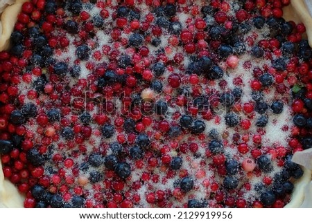 Fresh cranberries and blueberries in sugar. Wild berry pie filling.