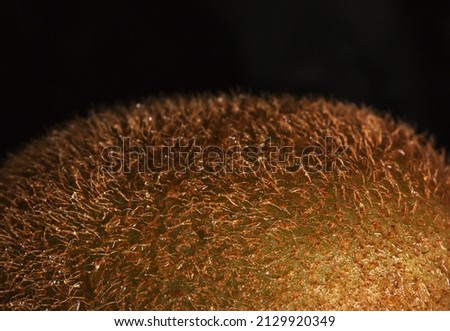 Brown hairy kiwi skin. Macro or closeup photo of a piece of kiwi on a black background. Detail photo of hairy skin.