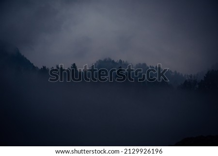 Dense night mist over hills covered forest. Blue haze, mystical foggy landscape.