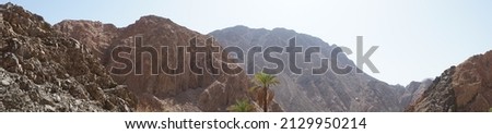 Photo panorama. Gorgeous landscape with mountain streams and vegetation in the Malakot Mountain oasis tourist site. Dahab, South Sinai Governorate, Egypt 