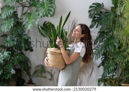 Smiling young woman hold pot with Sansevieria plant happy work in indoor garden or cozy home office with different houseplants. Happy millennial female gardener or florist take care of domestic flower Royalty-Free Stock Photo #2130020279
