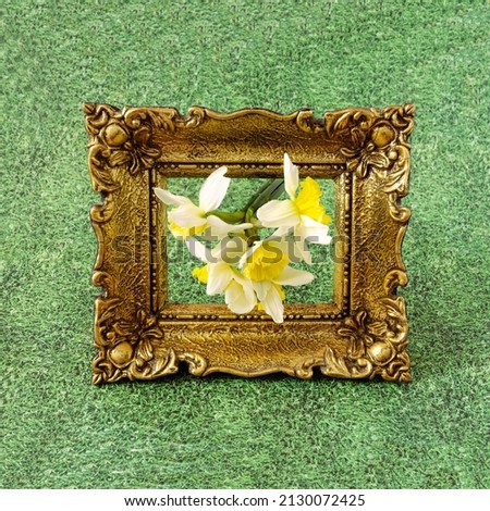 A bouquet of fresh yellow hyacinth flowers growing on grass background in a baroque golden frame. Design for spring blooming advertisement or banner.
