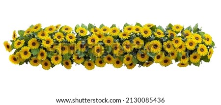 Sunflowers with green leaves and Eucalyptus leaves fake flower plant bush artificial backdrop isolated on white background, clipping path included. Royalty-Free Stock Photo #2130085436