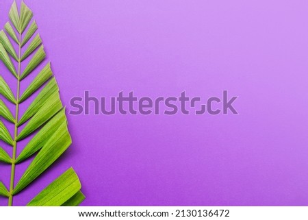 Good Friday, Palm Sunday, Ash Wednesday, Lent Season and Holy Week concept. Palm leaves on purple background. Royalty-Free Stock Photo #2130136472