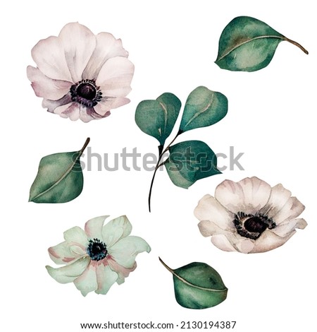 White anemones flowers and green leaves watercolor set on white background