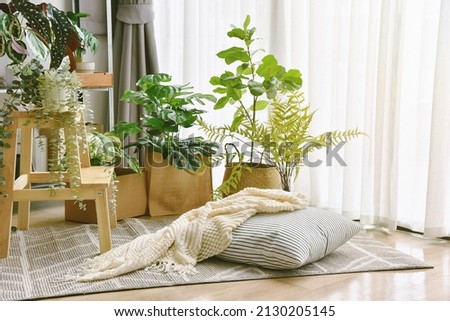 Pillow and soft blanket in relaxing space, Comfort living room with warm and cozy natural light, Artificial plant, Indoor tropical houseplant for home interior and air purification. Royalty-Free Stock Photo #2130205145
