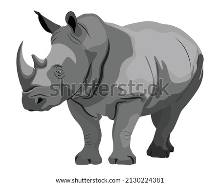 Vector illustration of rhino, rhinoceros standing side view isolated on white background, white rhino endangered big fauna Royalty-Free Stock Photo #2130224381