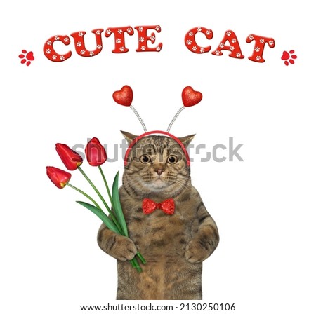 A beige cat in a red bow tie and a headband holds a bouquet of red tulips. Cute cat. White background. Isolated.
