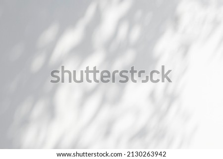 Shadow and sunshine of leaves reflection. Jungle gray darkness shade and lighting on concrete wall for wallpaper, shadows overlay effect, mockup design. Black and white artistic abstract background
 Royalty-Free Stock Photo #2130263942