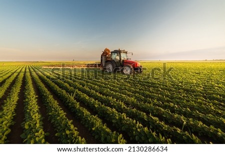 Tractor spraying pesticides on soybean field  with sprayer at spring Royalty-Free Stock Photo #2130286634