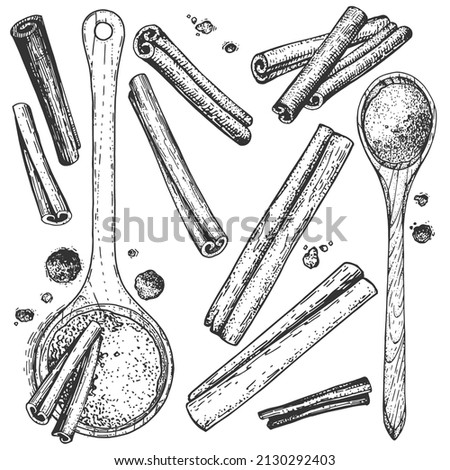 Collection of sketchy hand-drawn cinnamon. Monochrome illustrations of engraving style. A set of isolated objects to create a design. Ground cinnamon in wooden spoons Royalty-Free Stock Photo #2130292403